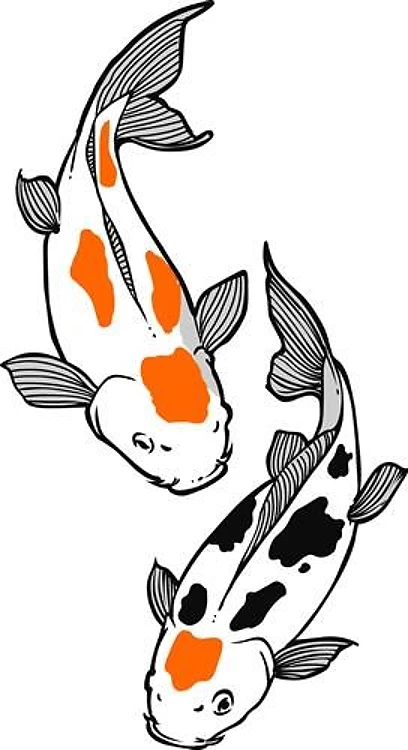JAPANESE KOI