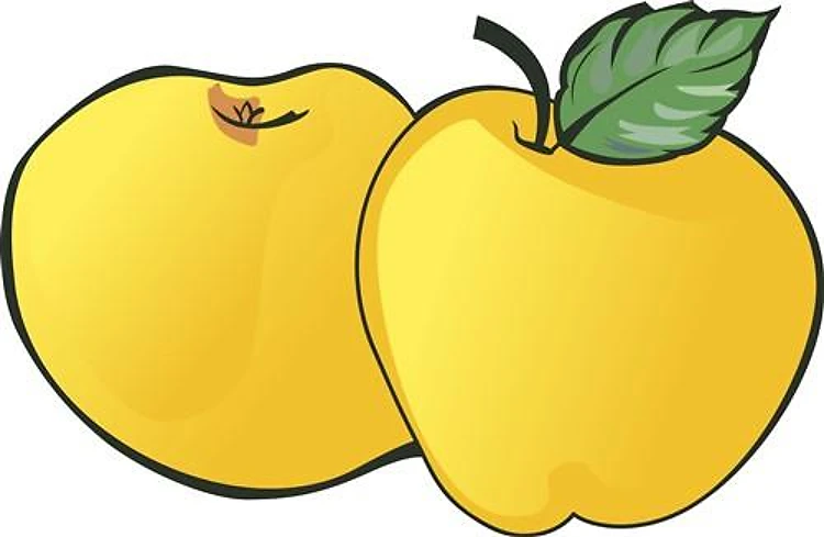 GOLDEN APPLES