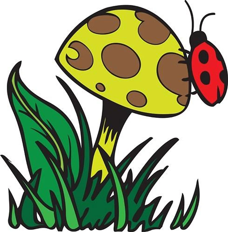 LADYBUG ON MUSHROOM