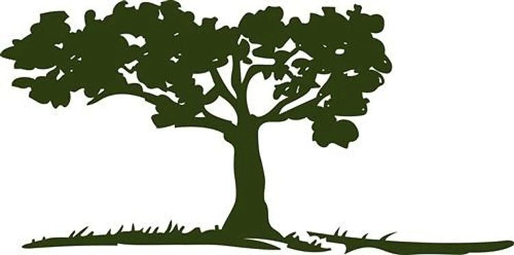 TREE AND GRASS