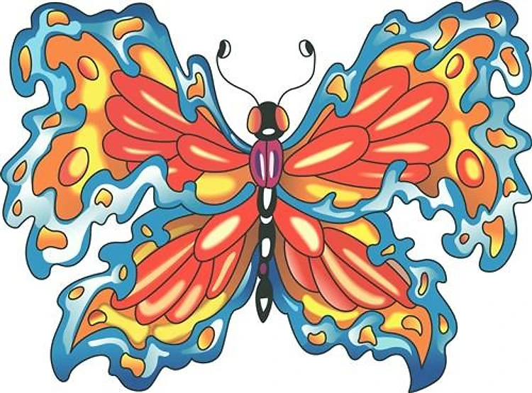 BUTTERFLY