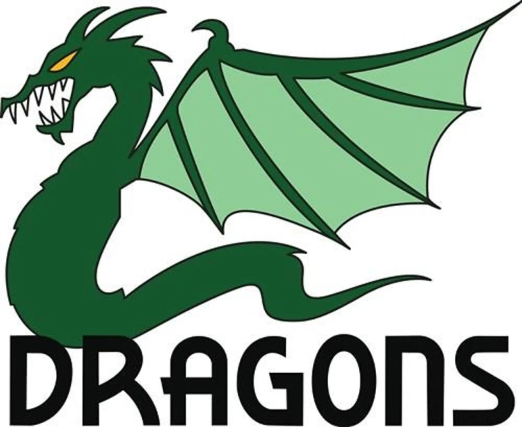 TEAM DRAGONS