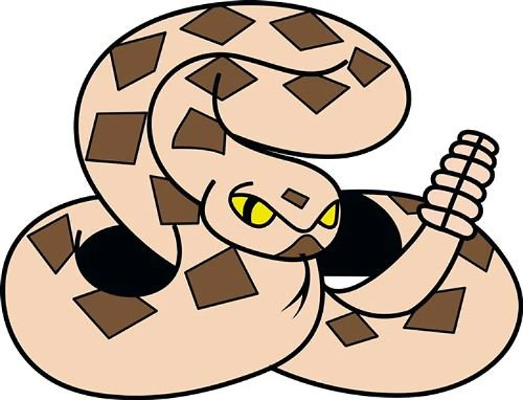 LITTLE RATTLESNAKE