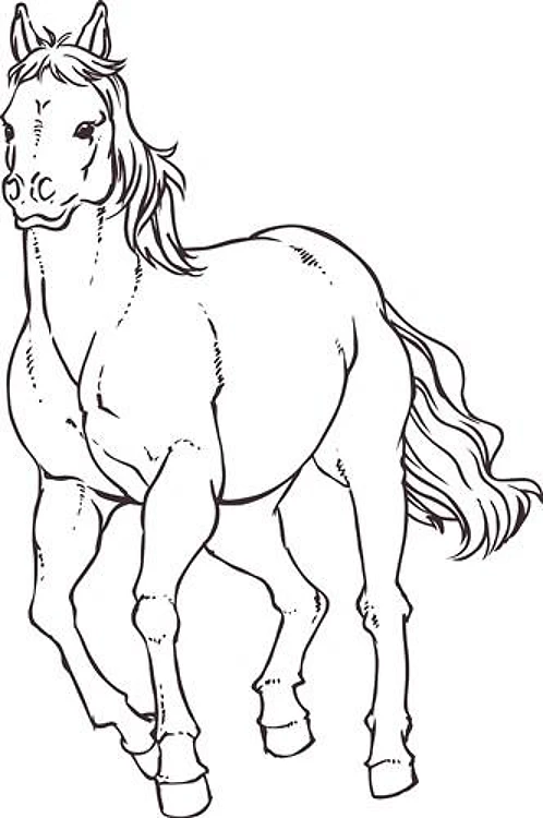 LARGE HORSE OUTLINE