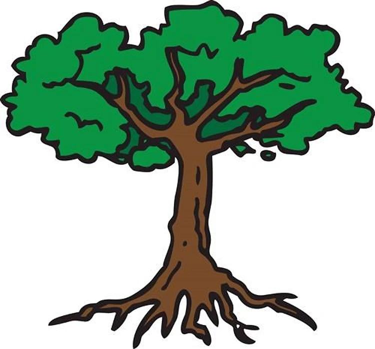 TREE WITH ROOTS