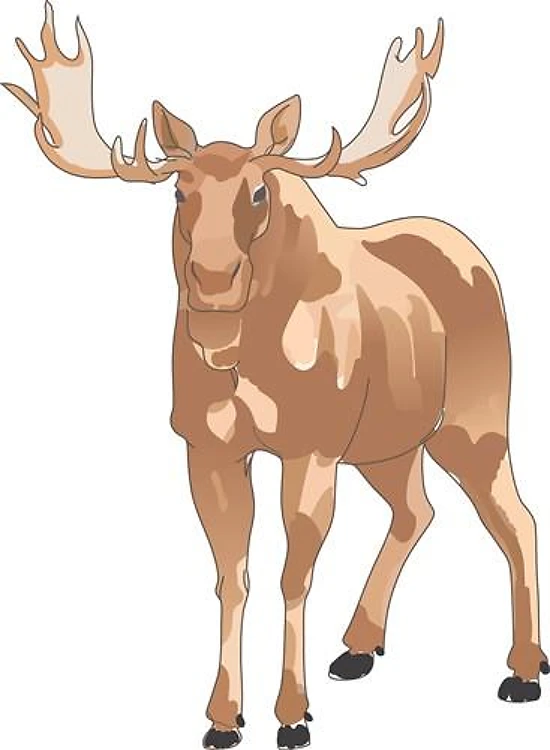 MOOSE