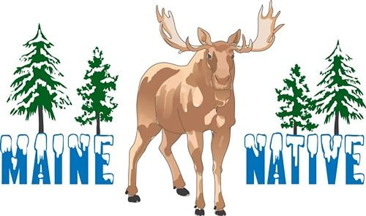 MAINE NATIVE