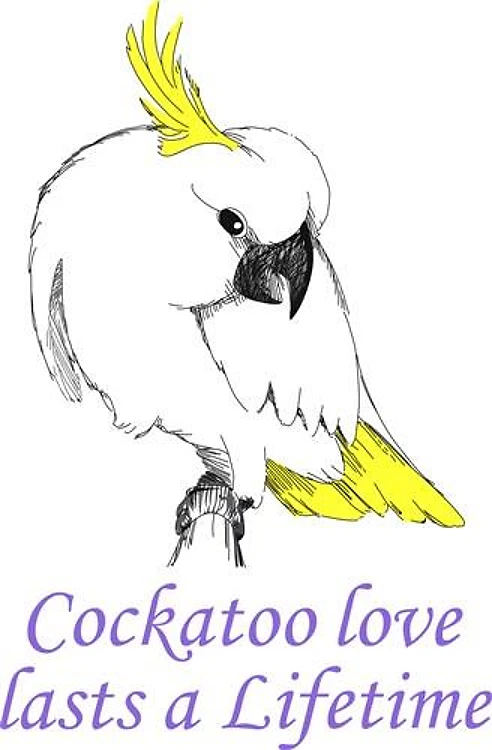 COCKATOO LOVE
