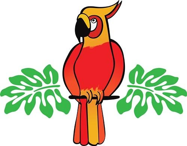COLORFUL PARROT