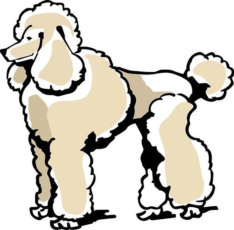 POODLE
