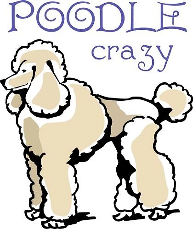 POODLE CRAZY