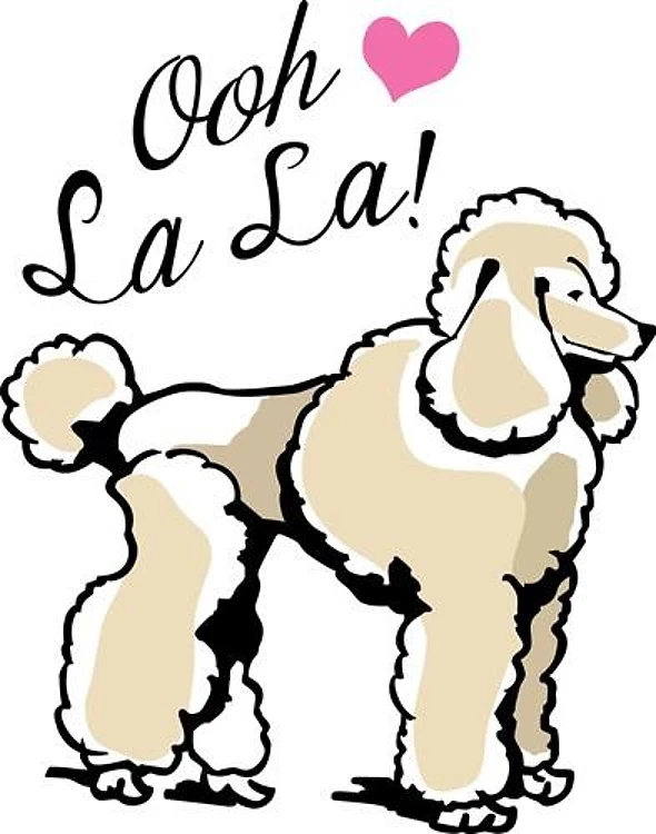 POODLE OOH LA LA