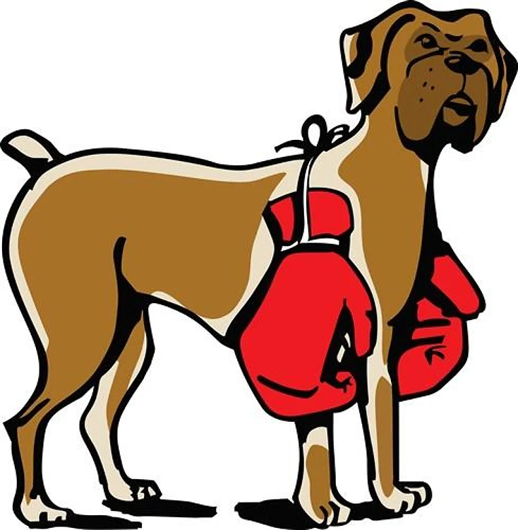 BOXER DOG