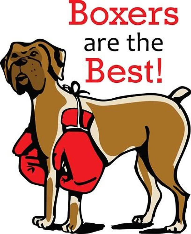 BOXERS ARE THE BEST