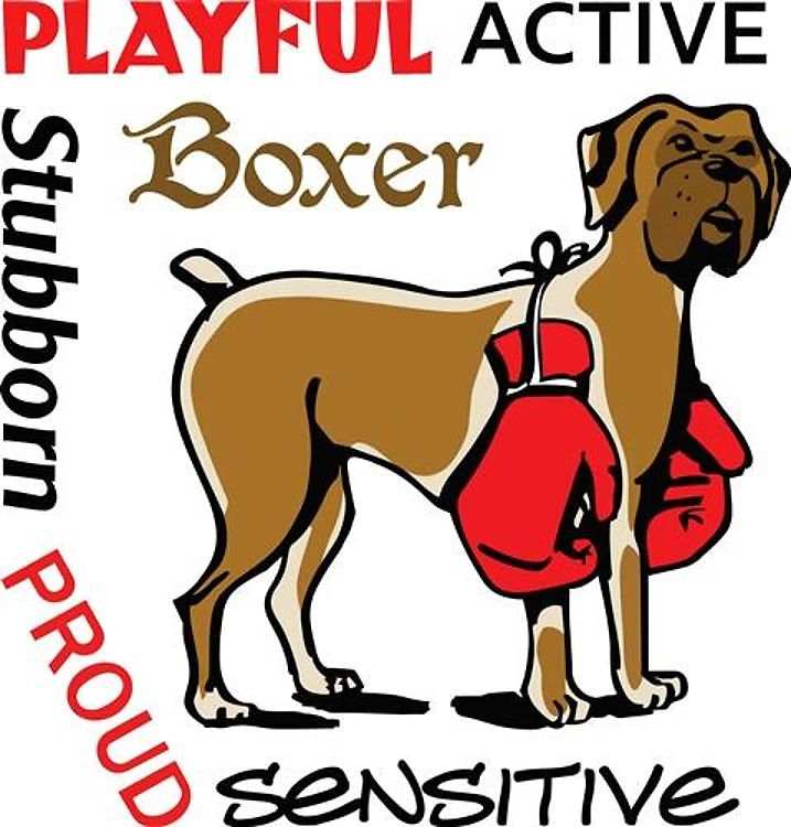 BOXER TRAITS