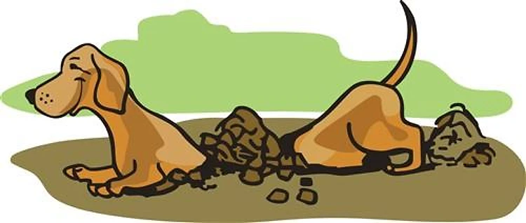 DACHSHUND DIGGING