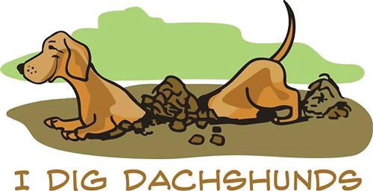 I DIG DACHSHUNDS