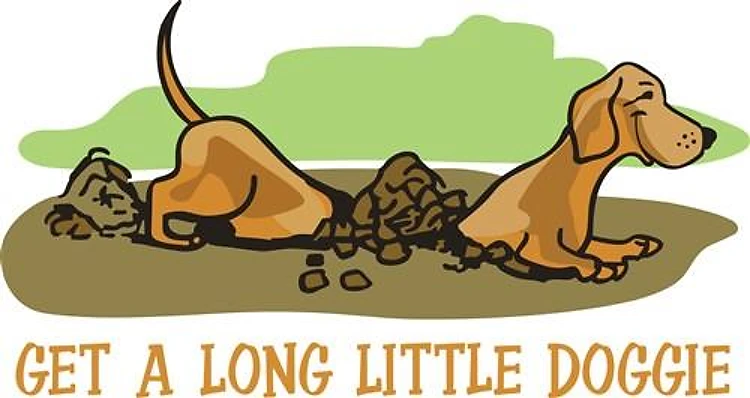 LONG LITTLE DOGGIE