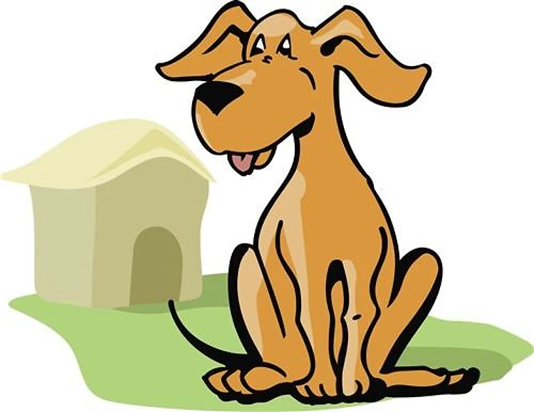 DOGS BACKYARD