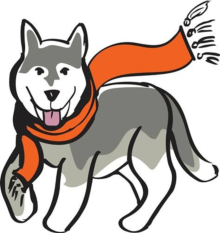 HUSKY DOG