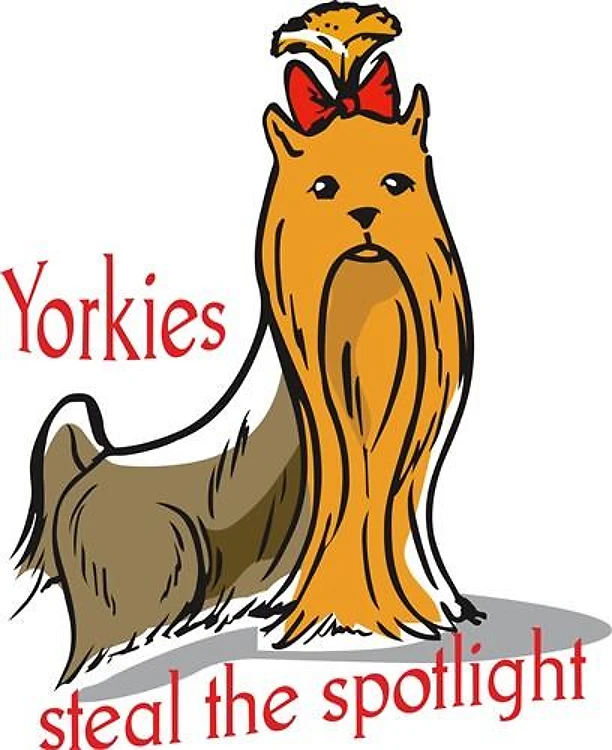 YORKIES STEAL SPOTLIGHT