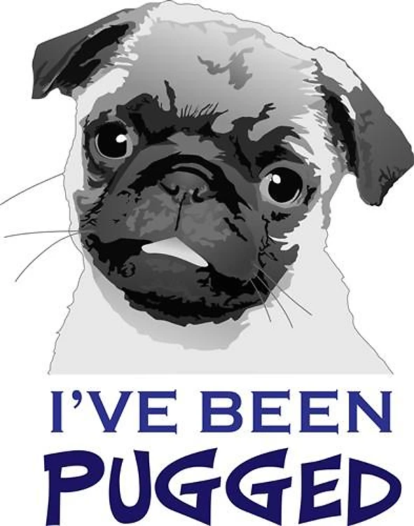 IVE BEEN PUGGED
