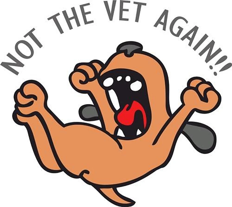 NOT THE VET AGAIN