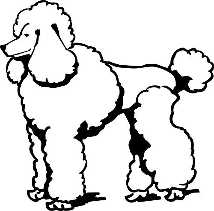 LG POODLE OUTLINE