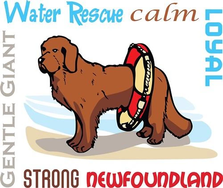 NEWFOUNDLAND TRAITS