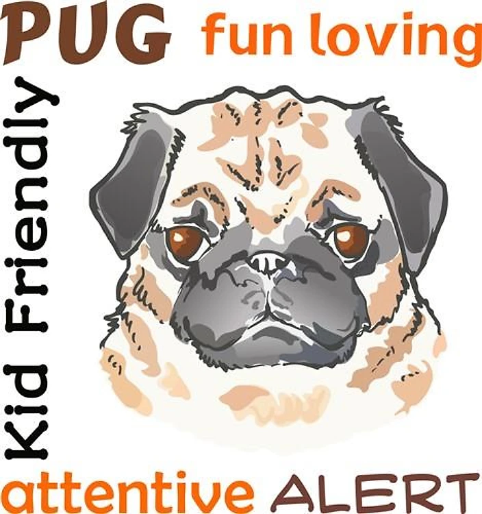 PUG DOG TRAITS