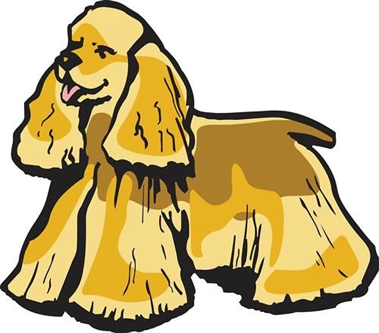 COCKER SPANIEL