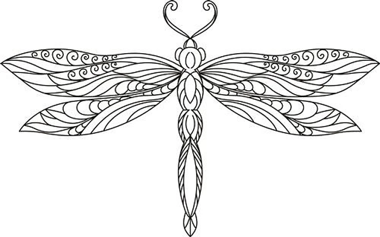 DRAGONFLY