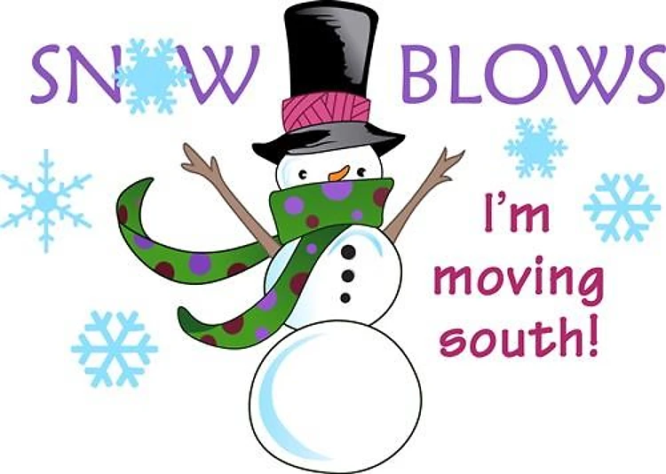 SNOW BLOWS
