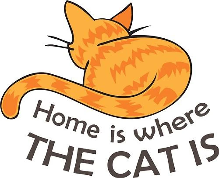 HOME IS WHERE THE CAT IS
