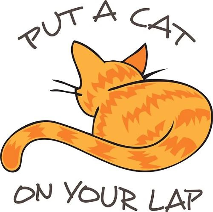 CAT ON YOUR LAP