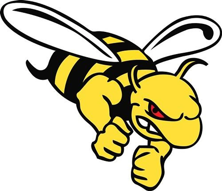 LARGE YELLOW JACKET