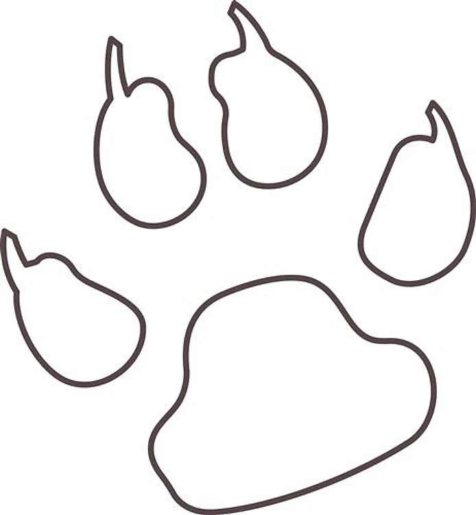 REVERSE APP CAT PAW S