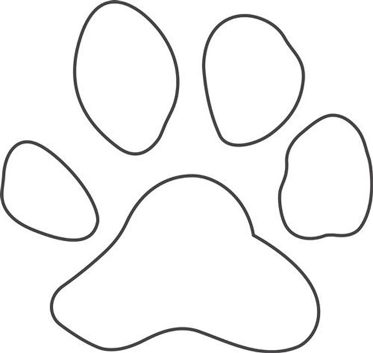REVERSE APP TIGER PAW S