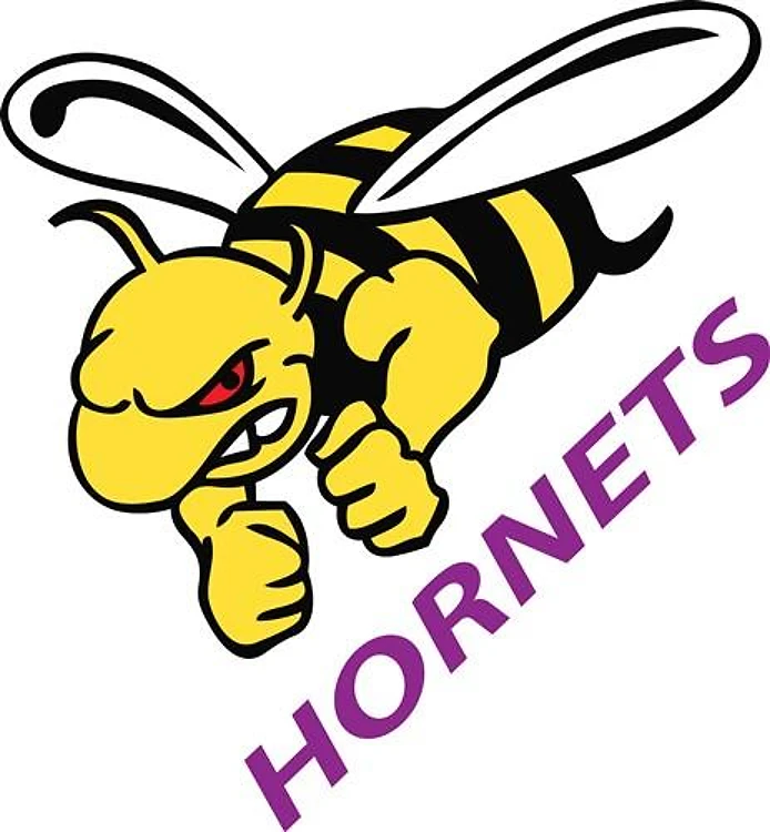 HORNETS