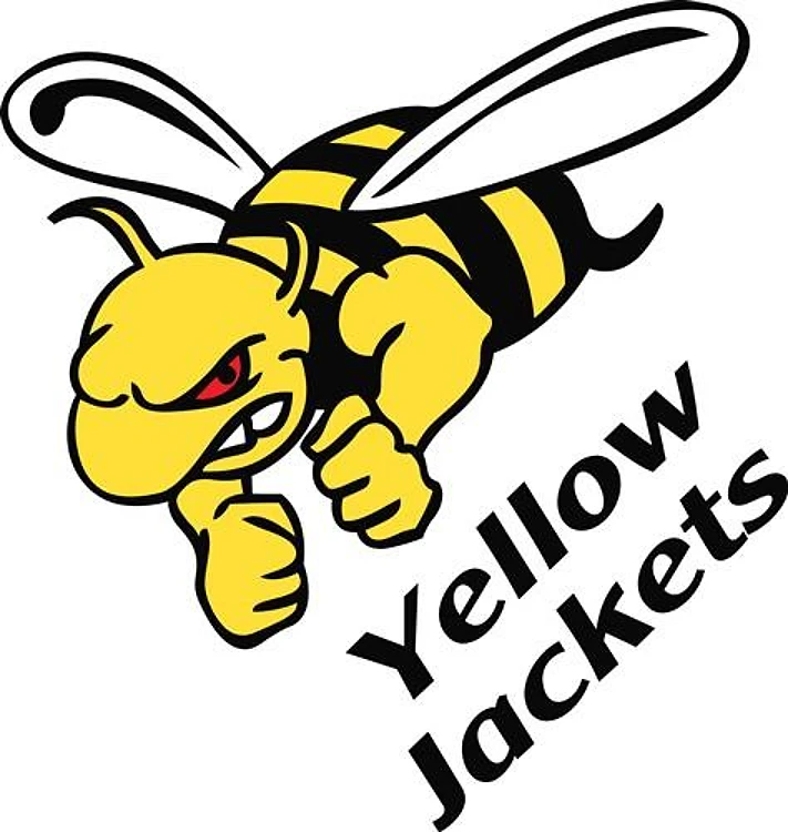 YELLOW JACKETS