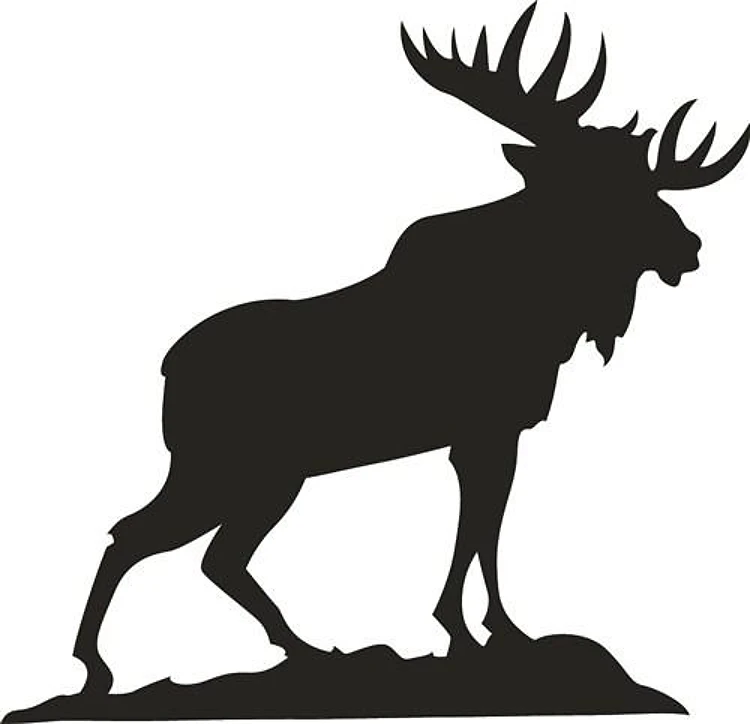 MOOSE