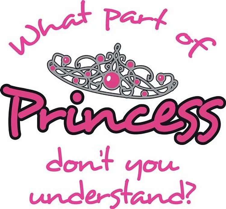 WHAT PART OF PRINCESS