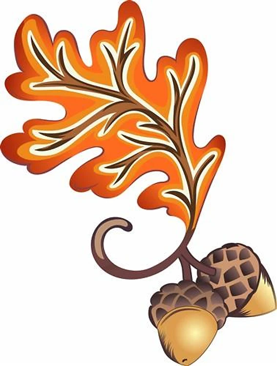 FALL OAK LEAF AND ACORNS