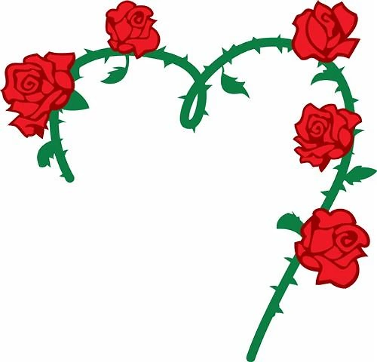 HEART OF ROSES