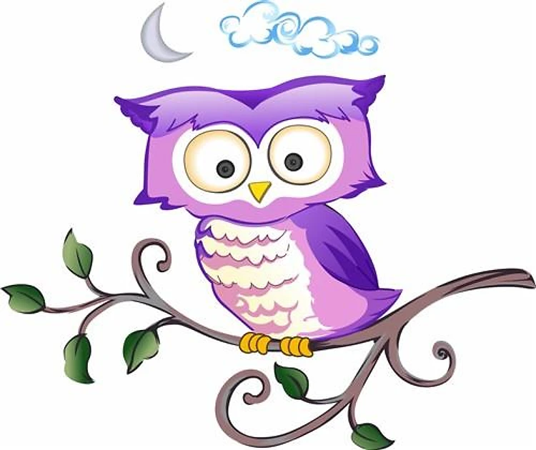 OWL ON BRANCH