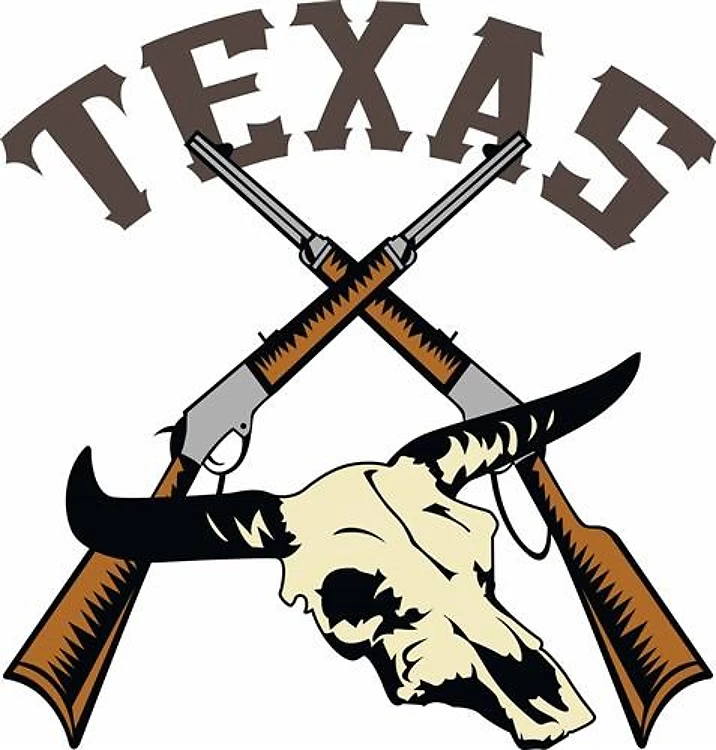 TEXAS RIFLES AND SKULL
