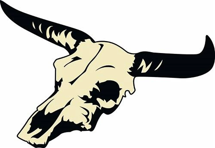 STEER SKULL