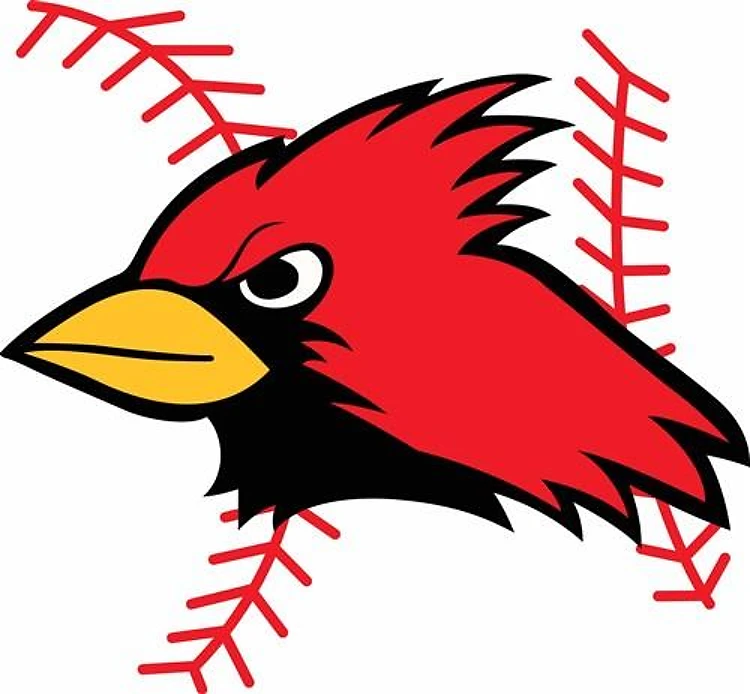 CARDINAL AND BASEBALL LACES