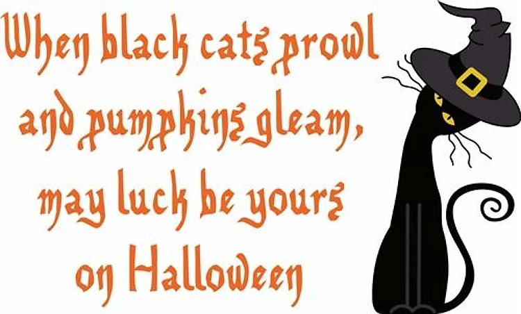 BLACK CATS PROWL
