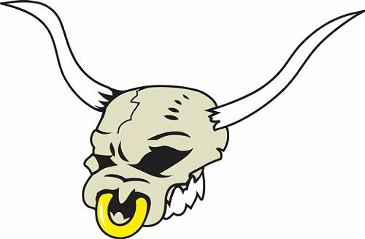 LONGHORN SKULL